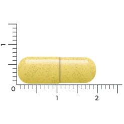 Vitakruid Quercetine 250 7 Vitakruid Quercetine 250 -Gezondheidsproducten Winkel 1021059 4