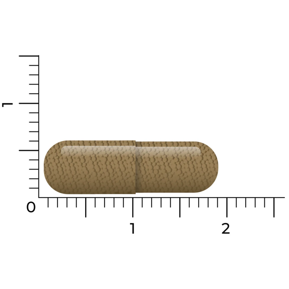 Vitakruid Q10 Ubiquinol 100 Mg 5 Vitakruid Q10 Ubiquinol 100 Mg - Afbeelding 5