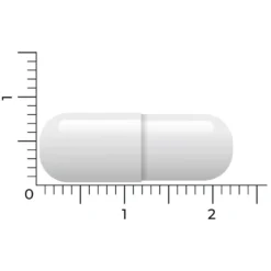 Vitakruid Acetyl L-Carnitine -Gezondheidsproducten Winkel 1024019 5