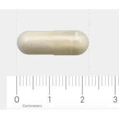 AOV 1132 Lactase -Gezondheidsproducten Winkel 1029493 4