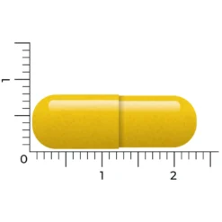 Vitakruid Berberine 500 Rebersa -Gezondheidsproducten Winkel 1029807 4