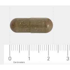 Orthica Slaap Support -Gezondheidsproducten Winkel 1029812 4