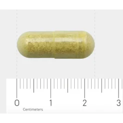 AOV 816 Quercetine-extract (500 Mg) -Gezondheidsproducten Winkel 1030206 4