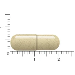 Vitakruid Vitex Agnus Castus 8 Vitakruid Vitex Agnus Castus -Gezondheidsproducten Winkel 1032176 4