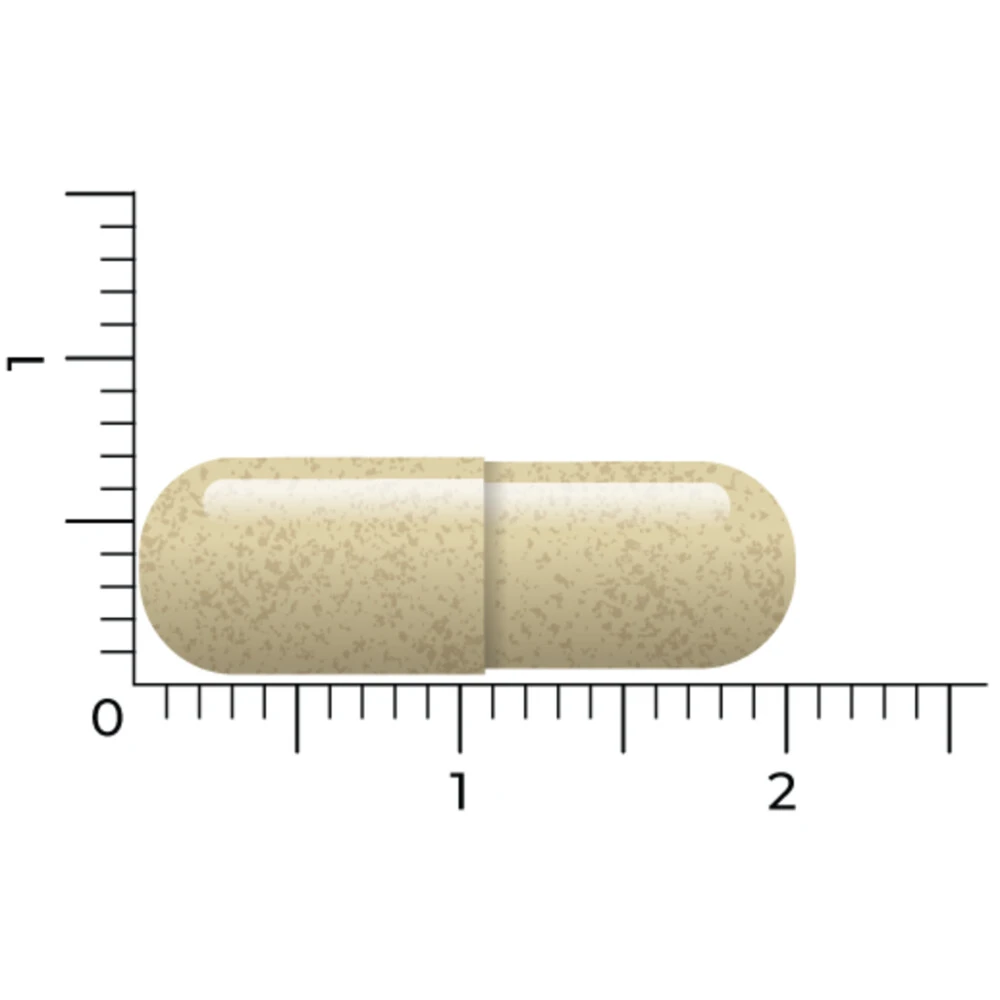 Vitakruid Vitex Agnus Castus 4 Vitakruid Vitex Agnus Castus - Afbeelding 4