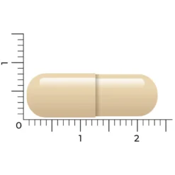 Vitakruid DIM Complex 9 Vitakruid DIM Complex -Gezondheidsproducten Winkel 1040356 5