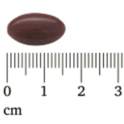 Lucovitaal Rode Gist Rijst Met Visolie En Q10 -Gezondheidsproducten Winkel 1040580 4