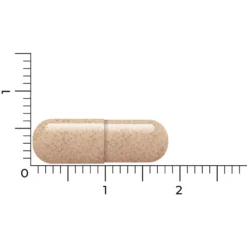 Vitakruid Lactoferrine 150 Mg -Gezondheidsproducten Winkel 1054157 4