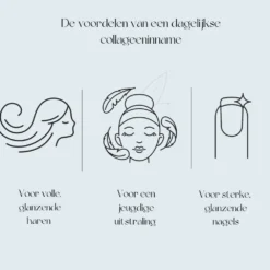 Premium Collageen Hydrolysaat Poeder Met Vitamine C En Hyaluronzuur Sinaasappelsmaak -Gezondheidsproducten Winkel 1055226 4