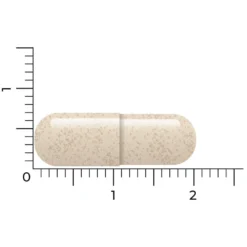 Vitakruid Ashwagandha Ksm -Gezondheidsproducten Winkel 1057979 5