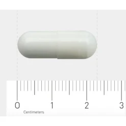 Orthica L-Glutamine-500 -Gezondheidsproducten Winkel 709573 4