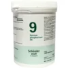 Pfluger Schussler Zout Nr 9 Natrium Phosphoricum D6