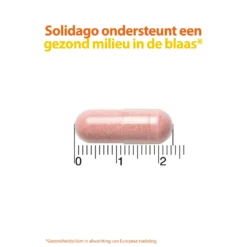 Roter Cystiberry 7 Roter Cystiberry -Gezondheidsproducten Winkel 962280 4