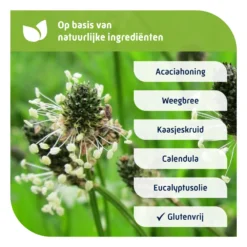 Natterman Voor Alle Hoest Hoestdrank -Gezondheidsproducten Winkel 974964 4