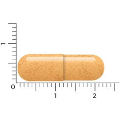 Vitakruid B-Complex Actief Zonder B6 -Gezondheidsproducten Winkel 1024007 4