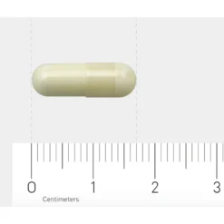 AOV 220 Pyridoxaal-5-fosfaat 7 AOV 220 Pyridoxaal-5-fosfaat -Gezondheidsproducten Winkel 1029412 4