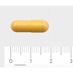 Orthica B2-50 -Gezondheidsproducten Winkel 1033738 4