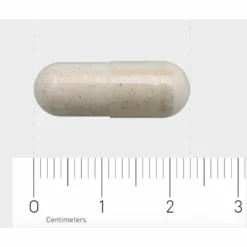 Garden Of Life Raw Vitamine B12 -Gezondheidsproducten Winkel 888451 4